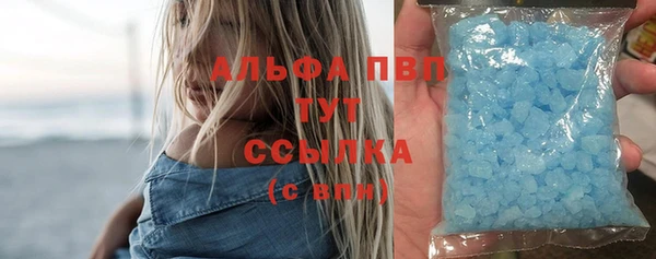 ГАЛЛЮЦИНОГЕННЫЕ ГРИБЫ Белокуриха