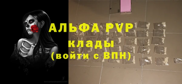 ГАЛЛЮЦИНОГЕННЫЕ ГРИБЫ Белокуриха