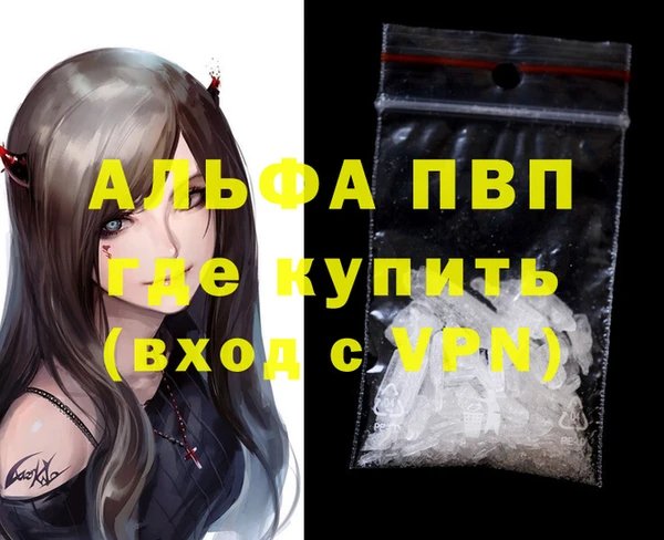ГАЛЛЮЦИНОГЕННЫЕ ГРИБЫ Белокуриха