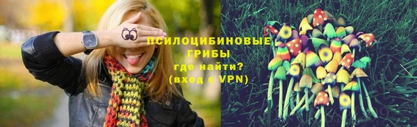 ГАЛЛЮЦИНОГЕННЫЕ ГРИБЫ Белокуриха