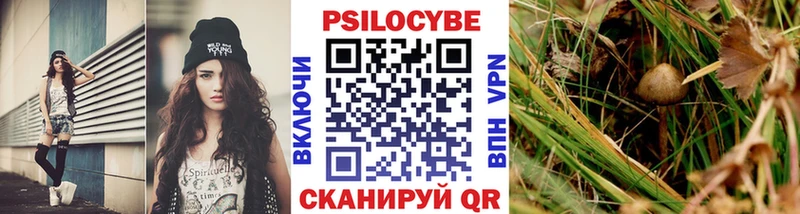 где купить наркоту  Пионерский  KRAKEN ТОР  Псилоцибиновые грибы Psilocybe 